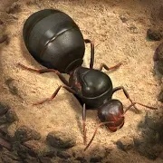蚂蚁地下王国手机版 1.26.0免谷歌版